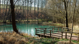 Wooden bridge river forest lake - ecological art free wallpaper