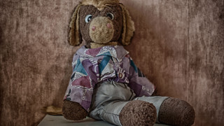 Stuffed dog shirt table wall - a table next free wallpaper