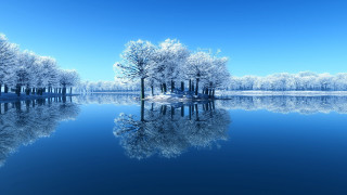 Lake trees snowy shore blue - a lake free wallpaper