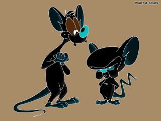Cartoon rat mouse pointing head - a cartoon free wallpaper for desktop
