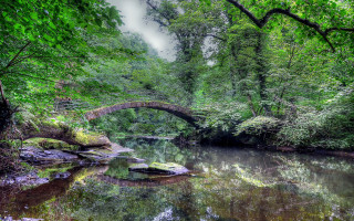 Bridge river forest boat night - the water and a bridge in the background free wallpaper