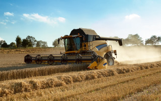 Harvested wheat field blue sky - heavy grain free wallpaper