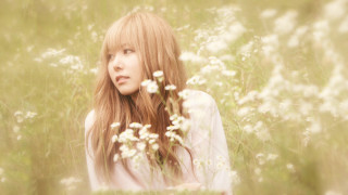 Woman longhair flowerfield serious aesthetic - aestheticism free wallpaper for desktop