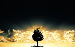 Lone tree hill sunset clouds - amazing depth free wallpaper