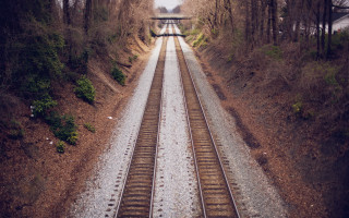 Train crossing wooded area night - douglas shuler free wallpaper