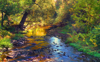 Lush forest stream autumn sunset - impressionist painting free wallpaper