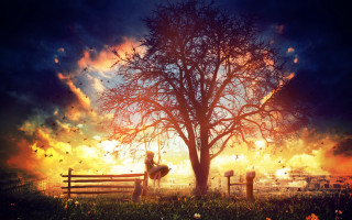 Fire bench under tree autumn - a person free wallpaper for desktop