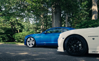 Blue white sports cars forest - area free wallpaper