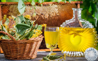 Flower basket wine table fence - bracha l. ettinger free wallpaper