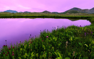 Pond green mountains purple sky - a pond free wallpaper