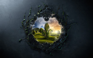 Tree hole sky vines matte - the wall free wallpaper for desktop