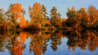 Lake autumn leaves orange sky - orange leaf free wallpaper