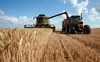 Tractors harvesting wheat sunny day - heavy free wallpaper