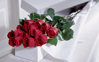 Red roses white box romantic - a table cloth free wallpaper