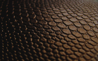 Brown circles texture generative fence - free textures wallpaper