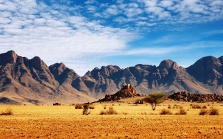 Desert mountains trees blue sky - a desert free wallpaper for desktop