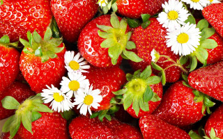Strawberries daisies impressionism jigsaw berry - daisy free wallpaper