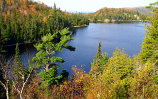 Lake forest autumn leaves nature - a few leaf free wallpaper for desktop