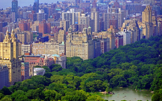 Tokyo cityscape trees lake architecture - tall building and trees free wallpaper