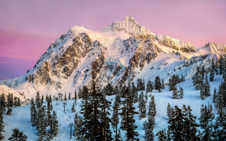 Snowy mountain trees pink sky 3 - a pink sky in the background free wallpaper