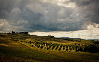 Field trees hill clouds cityscape - a hill in the distance free wallpaper