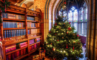 Library christmas tree magic cityscape - magical atmosphere free wallpaper