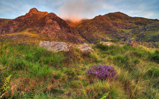 Mountain range purple flower cloud - rich moody colour free wallpaper