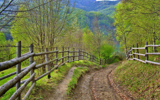 Dirt path wooden fence forest - a dirt path free wallpaper