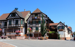 Large building windows flowers cityscape - a street in front free wallpaper