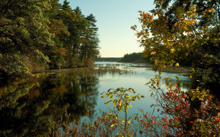 Hudson river school autumn leaves 2 - alexander brook free wallpaper for desktop