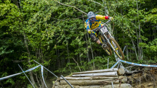 Woodland bicycle bridge motion blur - aaron bohrod free wallpaper