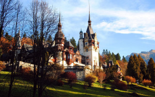 Castle tower clock hill trees - the front of it free wallpaper