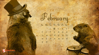 Beavers drumming calendar top hat - a top hat free wallpaper for desktop