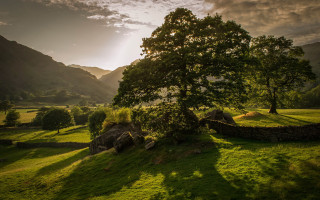 Tree field mountains sunbeam clouds - dramatic light free wallpaper