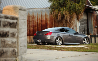 Car road palm trees fence - clean line free wallpaper for desktop