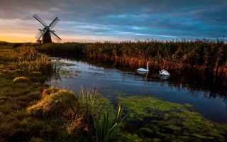 Swans pond windmill sunset clouds 2 - a dark sky in the background free wallpaper