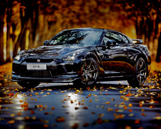 Black sports car autumn leaves 4 - a few leaf free wallpaper for desktop