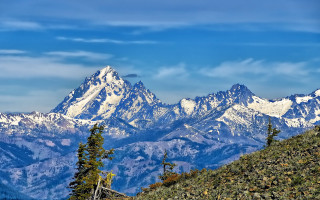 Mountain range snow capped trees - regionalism free wallpaper