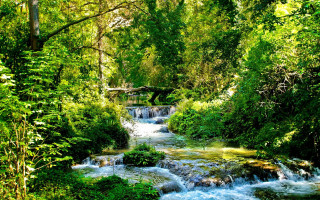Lush forest stream bridge nature - a bridge in the distance free wallpaper for desktop
