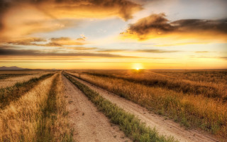 Dirt road sunset grass field 3 - a dirt road free wallpaper