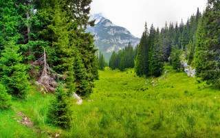 Grassy field trees mountains cloudy 2 - edi rama free wallpaper for desktop