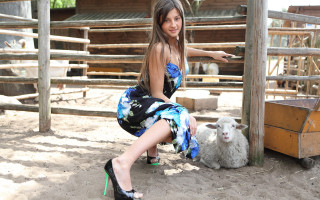 Woman dress sheep fence building - a sheep free wallpaper