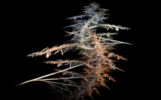 Tall plant thin leaves streetlight - thin free wallpaper for desktop