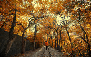 Person walking traintrack autumn forest - a train track free wallpaper
