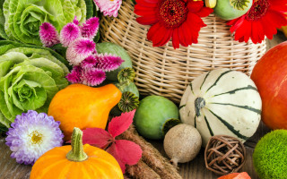 Harvest basket flower vegetable pumpkins - fall vibrancy free wallpaper