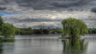 Lake tree cloudy sky church - a tree in the middle of it free wallpaper