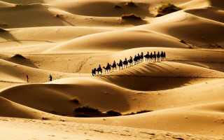 Desert horses sunset sky shadow - a group of people riding free wallpaper for desktop