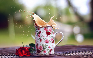 Coffee splash rose flower petals - a coffee cup free wallpaper