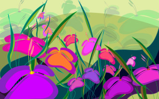 Flowers field butterfly hill colorful - a painting of a bunch free wallpaper