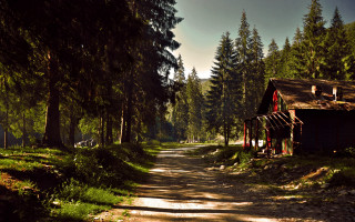 Dirt road cabin forest night - a dirt path free wallpaper